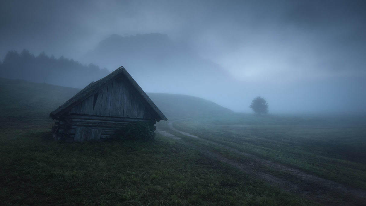 Foggy dawn Poster och Canvastavla