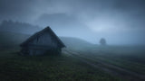 Foggy dawn Poster och Canvastavla