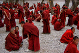 Monks debating Poster och Canvastavla