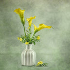 Calia Lillies Poster och Canvastavla
