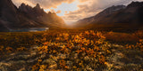 Wild Mountain Sunset Poster och Canvastavla