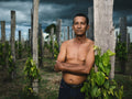 Dedè in his black pepper field. Poster och Canvastavla