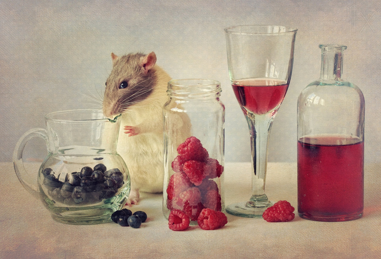 Snoozy loves to eat Poster och Canvastavla