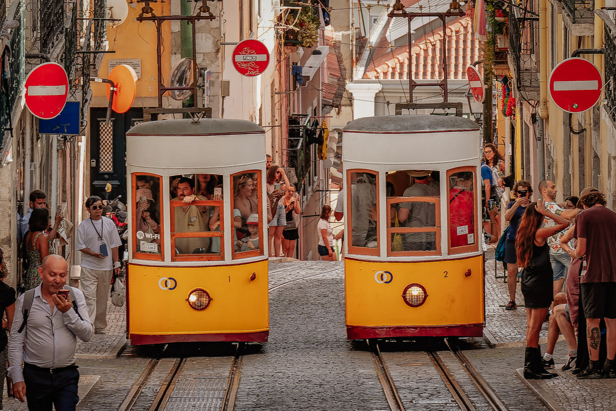 Trams Poster och Canvastavla