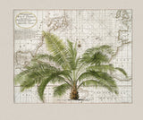 Tropical Empire No1 Poster och Canvastavla