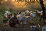 Ethiopian Harma tribes Poster och Canvastavla