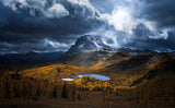Healy Pass Golden Time Poster och Canvastavla