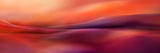 A new day Poster och Canvastavla