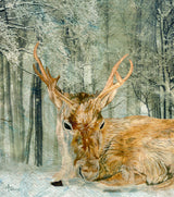 Reindeer In the Forest Poster och Canvastavla