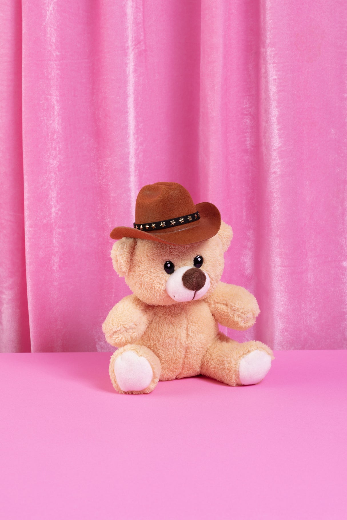 Cowboy teddy bear Poster och Canvastavla