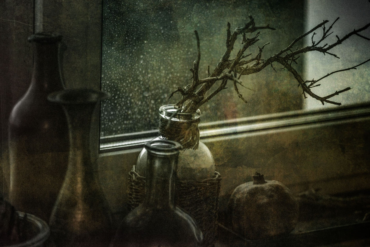 Still life on the window Poster och Canvastavla