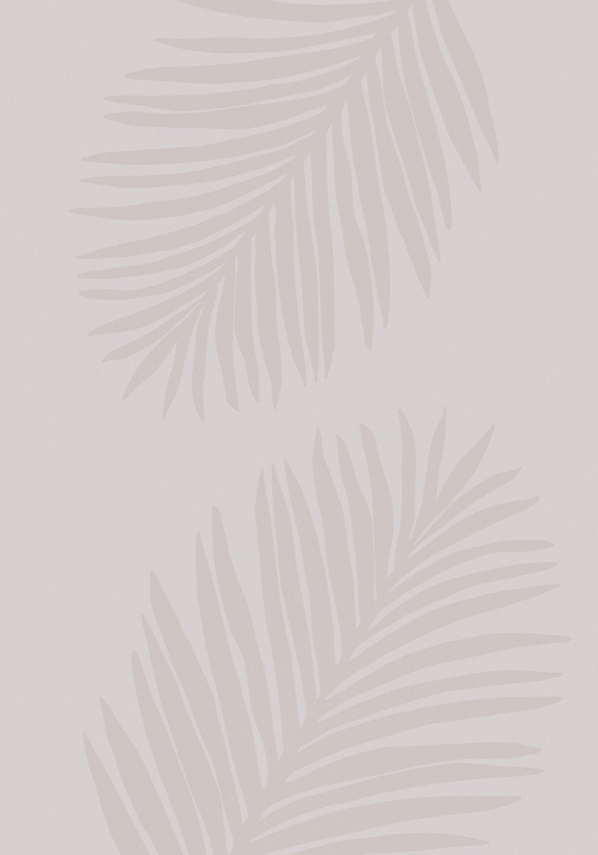 PALM LEAF 08 Poster och Canvastavla