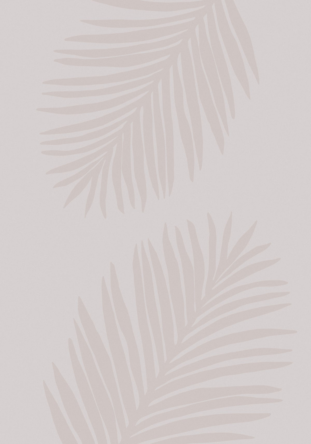 PALM LEAF 08 Poster och Canvastavla