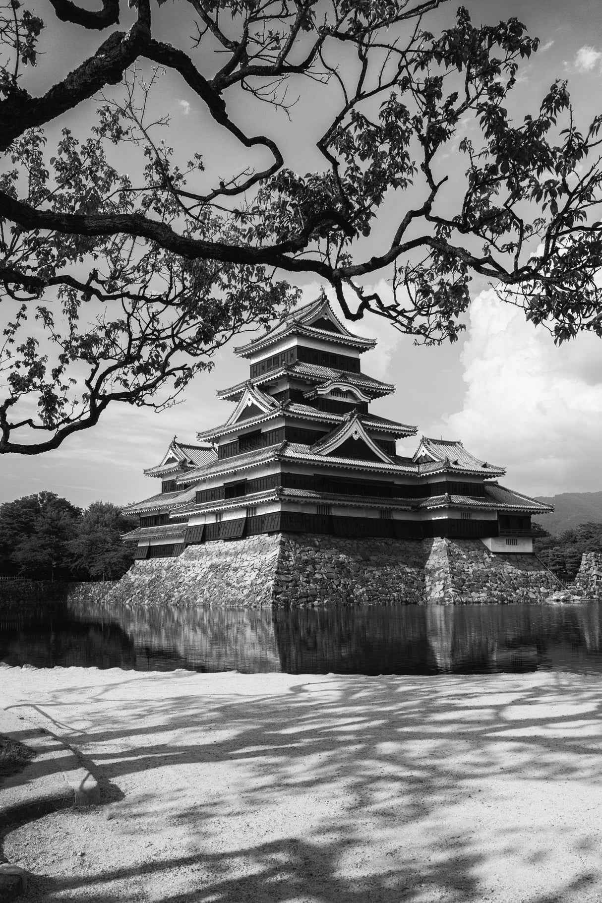 Matsumoto Castle Poster och Canvastavla