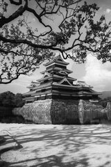 Matsumoto Castle Poster och Canvastavla