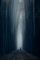 The way Poster och Canvastavla