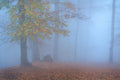 Dreamy place Poster och Canvastavla