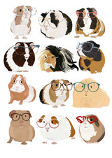 Guinea Pig in Glasses Poster och Canvastavla