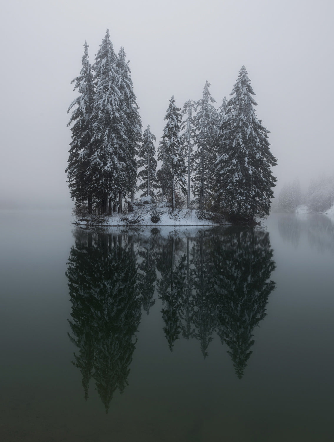 Winter reflection Poster och Canvastavla