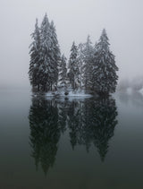 Winter reflection Poster och Canvastavla