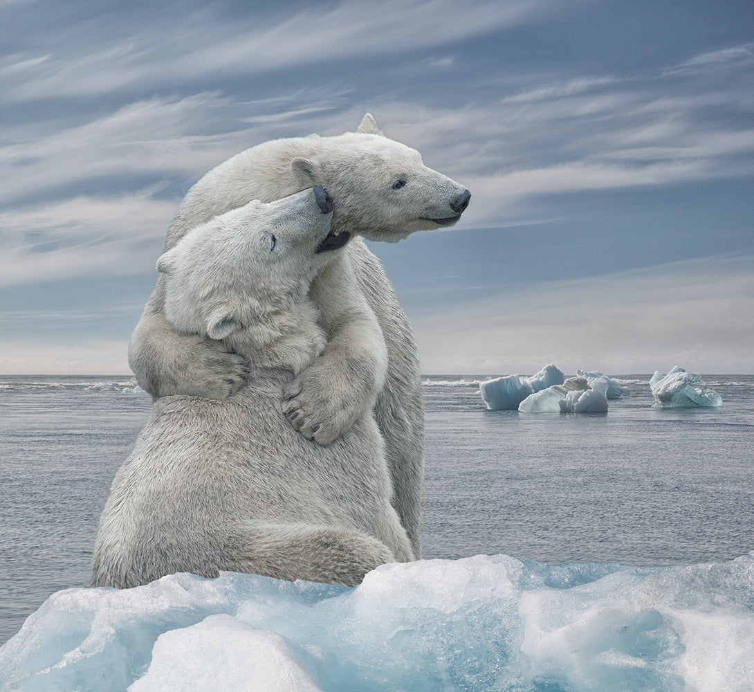The Big Hug Poster och Canvastavla
