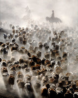 The Great Migration of China Poster och Canvastavla