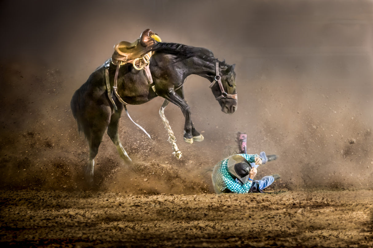 The Unruly Horse Poster och Canvastavla
