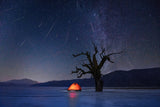 Gemini Meteor Show Poster och Canvastavla