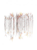 Grasses Poster och Canvastavla