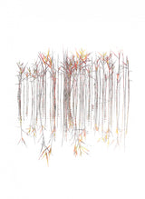 Grasses Poster och Canvastavla