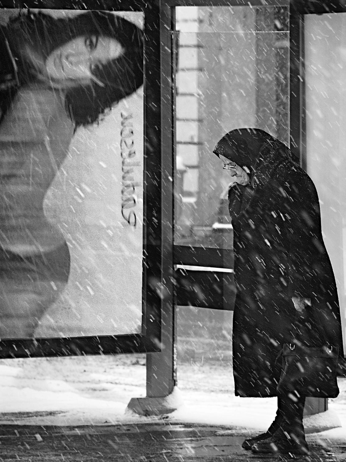 winter passengers Poster och Canvastavla