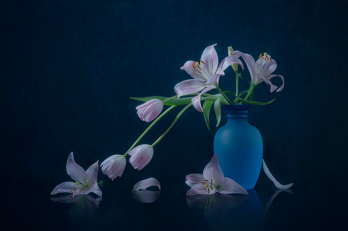 Tulip and Lily Poster och Canvastavla