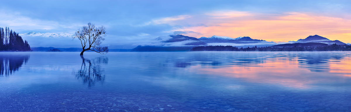 Lake Wanaka Poster och Canvastavla