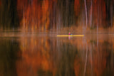 autumn feeling Poster och Canvastavla