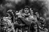 REFUGEE Poster och Canvastavla