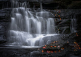 Potts Falls Poster och Canvastavla