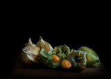 Physalis Poster och Canvastavla