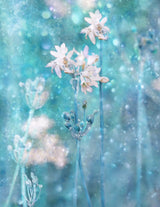 The Complex Magic of Nature Poster och Canvastavla