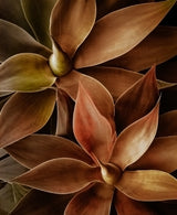 Foxtail Agave Abstract Poster och Canvastavla