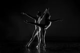 pas de deux Poster och Canvastavla