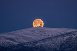 SNoW &amp; MooN Poster och Canvastavla