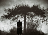 Contemplation Poster och Canvastavla