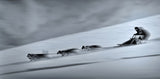 Mushing Poster och Canvastavla
