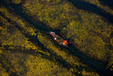 Fishermen moving on the lake Poster och Canvastavla