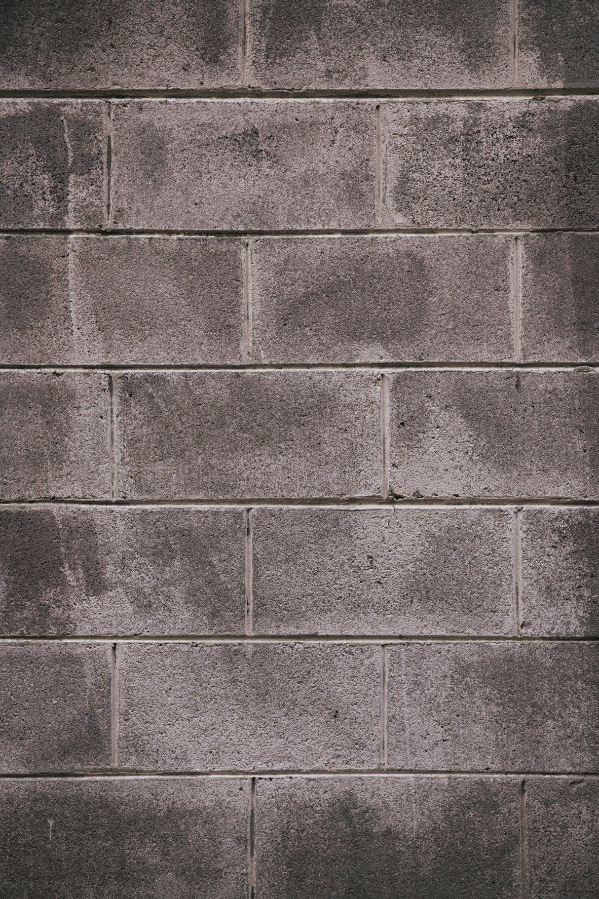 Concrete Block Wall Poster och Canvastavla