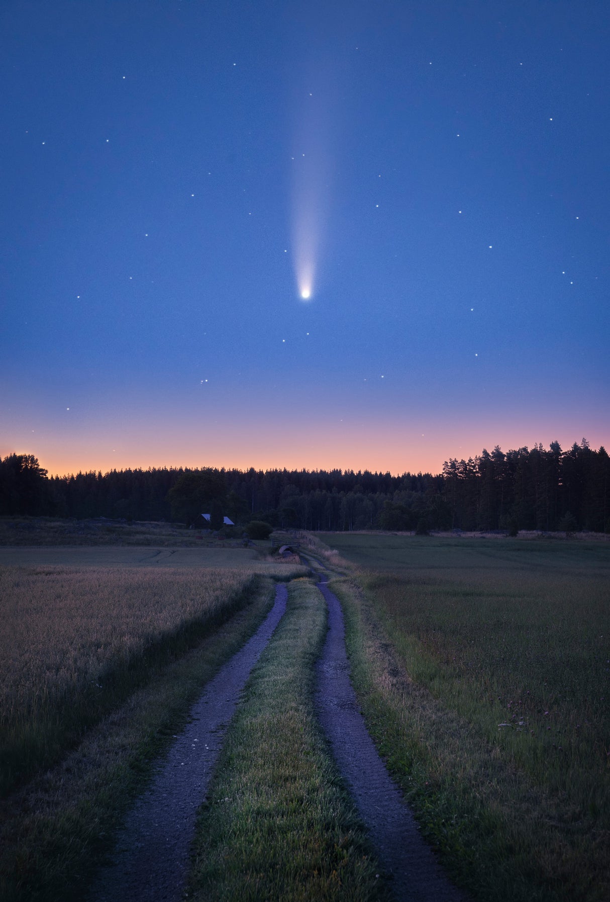 Comet NEOWISE over Sweden july 2020 Poster och Canvastavla