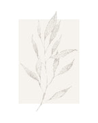 Plantstipple Poster och Canvastavla