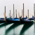 Venice II - study I Poster och Canvastavla