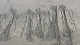 Sand forest Poster och Canvastavla