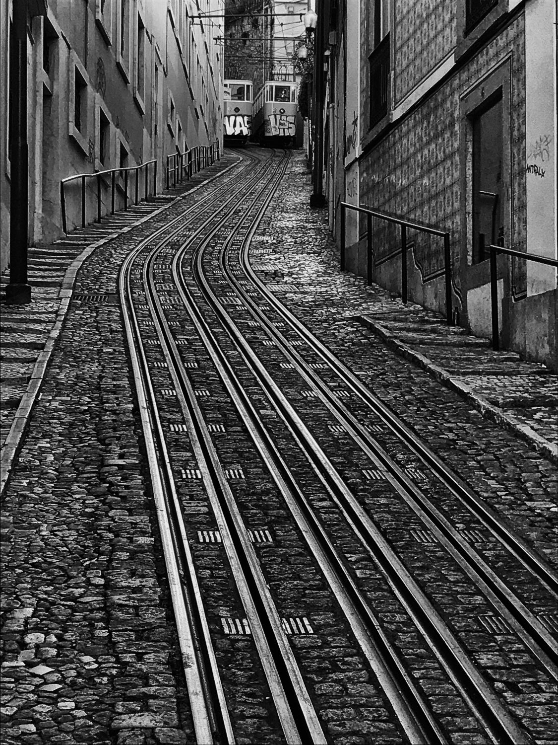 Trams in Lisbon Poster och Canvastavla